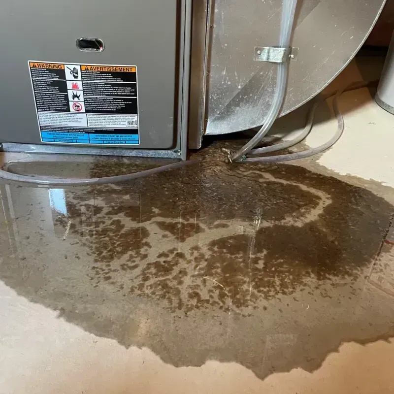 Appliance Leak Cleanup in Muhlenberg County, KY